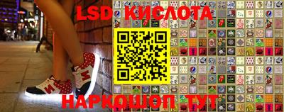 мяу мяу мука Аргун