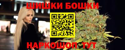 индика Гусиноозёрск