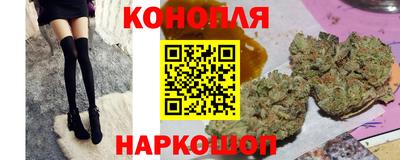 мяу мяу мука Аргун