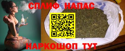 индика Гусиноозёрск