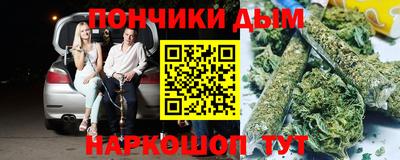 индика Гусиноозёрск