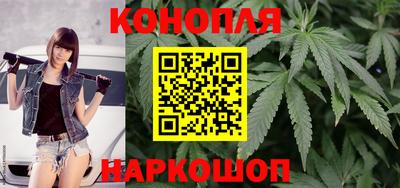 мяу мяу мука Аргун