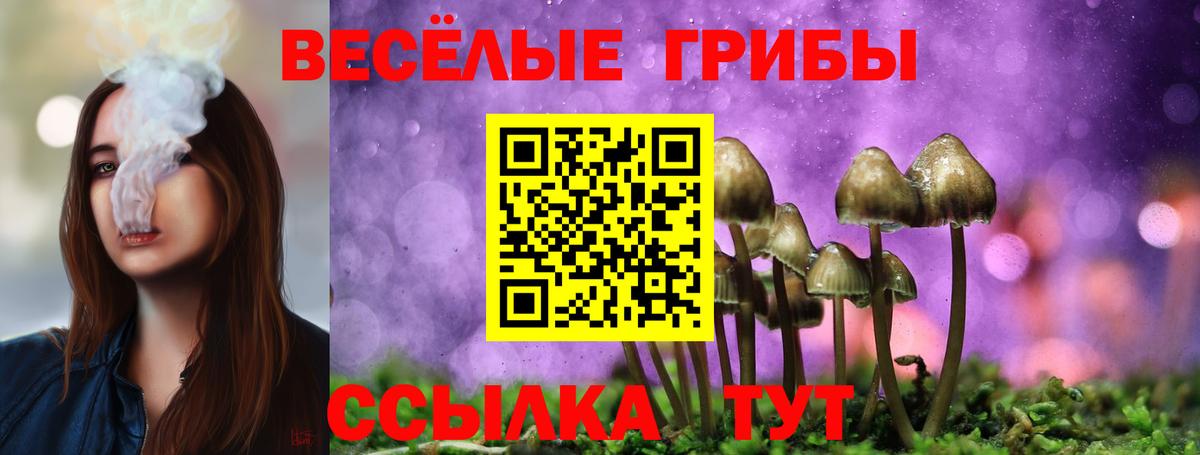 Псилоцибиновые грибы мухоморы  Вход с VPN  Пыть-Ях 